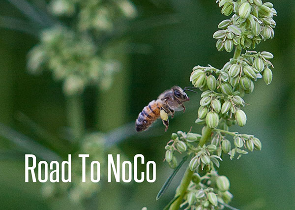 Road to NoCo Hemp Expo