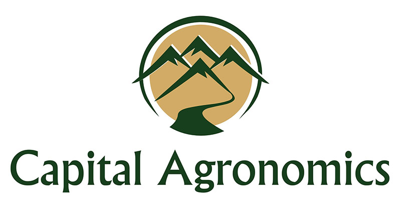 Capital Agro