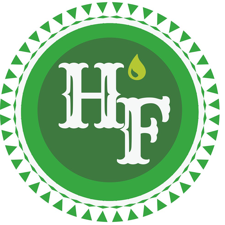 H.e.m.p. Fuel Group LLC