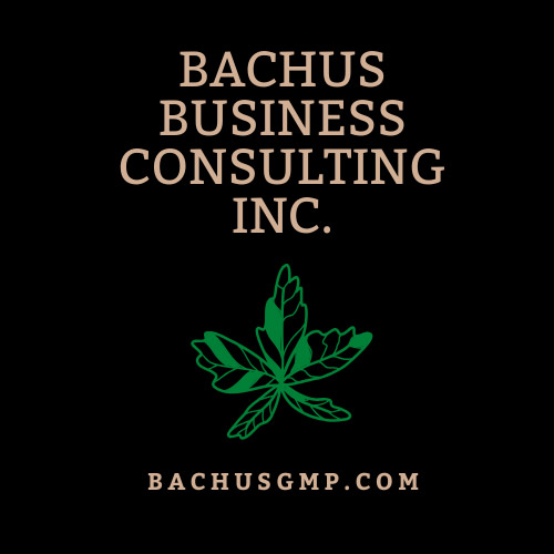 Bachus Business Consulting