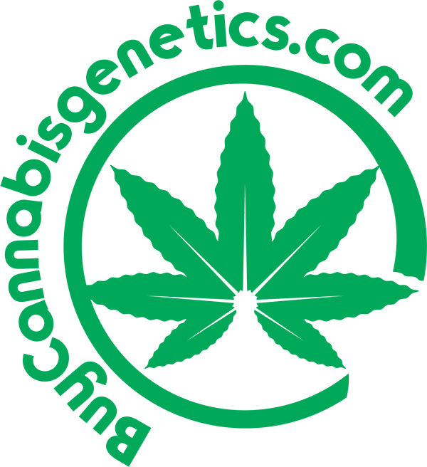 BuyCannabisGenetics.com