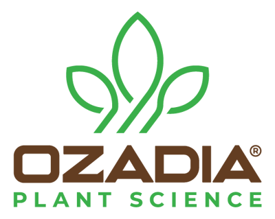 Ozadia