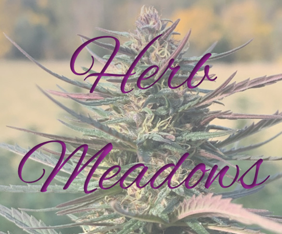 Herb Meadows Medicinals