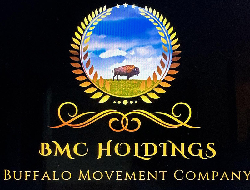 Buffalo Movement Company Holdings