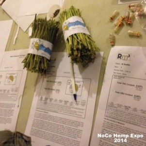 NoCo Hemp Expo NoCo Hemp Expo, Colorado - vendors, fair, exhibits, speakers