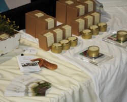 NoCo3 Hemp Expo, Speakers, Presentations, Demonstrations NoCo3 Hemp Expo, Speakers, Presentations, Demonstrations