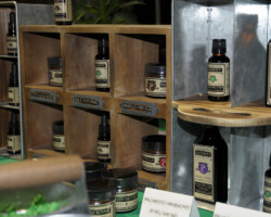 NoCo3 Hemp Expo Hemp Products NoCo3 Hemp Expo, Speakers, Presentations, Demonstrations