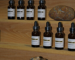 NoCo3 Hemp Expo Hemp Products NoCo3 Hemp Expo, Speakers, Presentations, Demonstrations