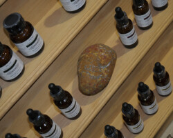 NoCo3 Hemp Expo Hemp Products NoCo3 Hemp Expo, Speakers, Presentations, Demonstrations