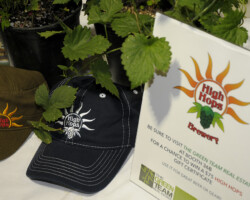 NoCo3 Hemp Expo Hemp Products NoCo3 Hemp Expo, Speakers, Presentations, Demonstrations