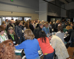 NoCo3 Hemp Expo NoCo3 Hemp Expo, Speakers, Presentations, Demonstrations