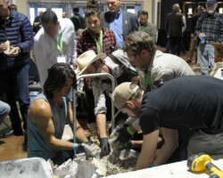 NoCo3 Hemp Expo, Demonstrations NoCo3 Hemp Expo, Speakers, Presentations, Demonstrations
