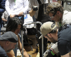 NoCo3 Hemp Expo, Demonstrations NoCo3 Hemp Expo, Speakers, Presentations, Demonstrations