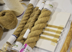 NoCo Hemp Expo 2019