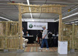 Pure Hemp Technology