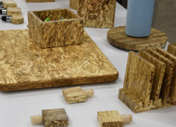 NoCo Hemp Expo 2021 -Hemp Wood