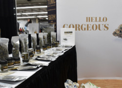 NoCo Hemp Expo 2021 - Farm and Tonic
