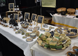 NoCo Hemp Expo 2021 - Elevated