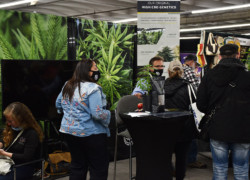 NoCo Hemp Expo 2021 -